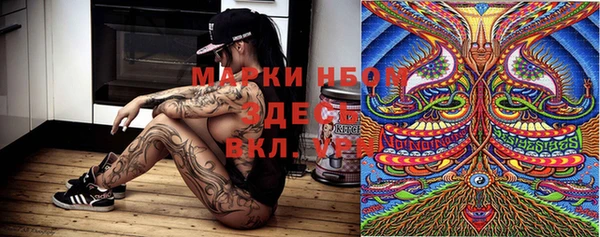 стаф Корсаков