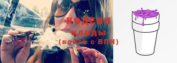 стаф Корсаков