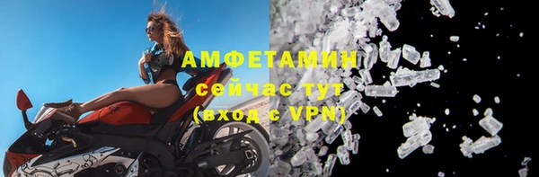 стаф Корсаков