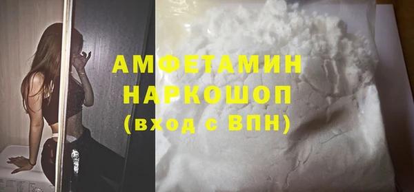 стаф Корсаков
