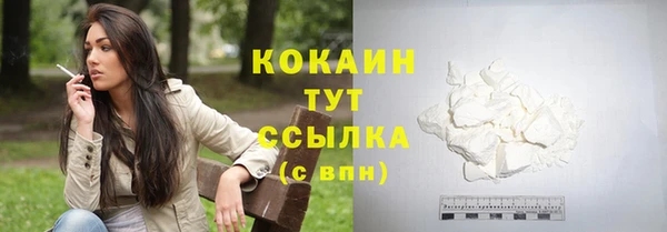 стаф Корсаков