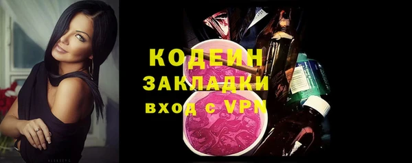 стаф Корсаков