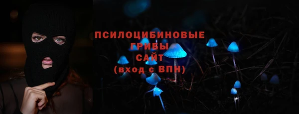 стаф Корсаков