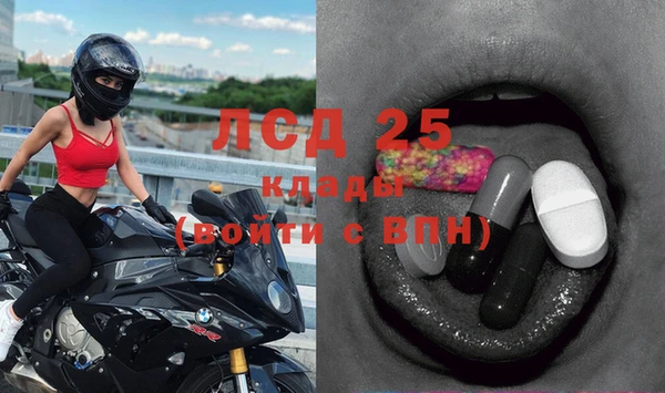 стаф Корсаков