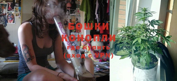 стаф Корсаков