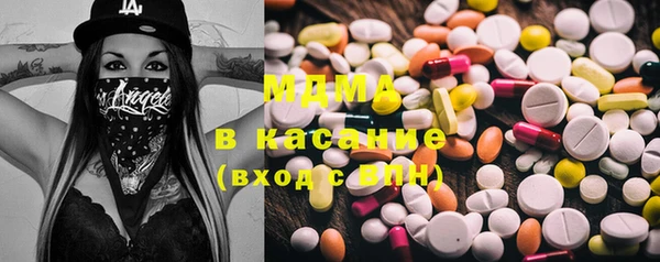 стаф Корсаков