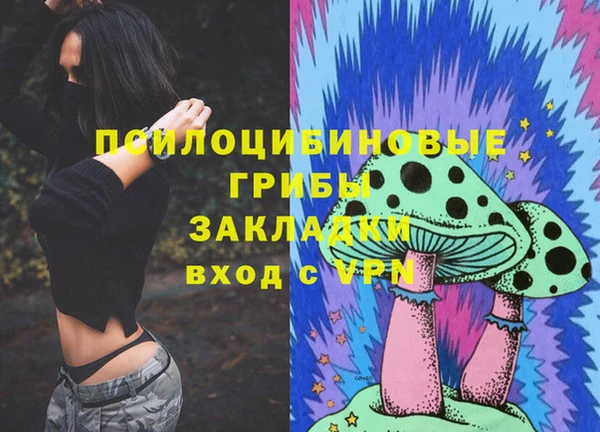 2c-b Костерёво